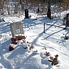 Путинцев Алексей Александрович