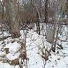 Писарева Евдокия Павловна