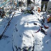 90015231-10ef-4cae-8584-e443099288a0 Чернов Геннадий Григорьевич