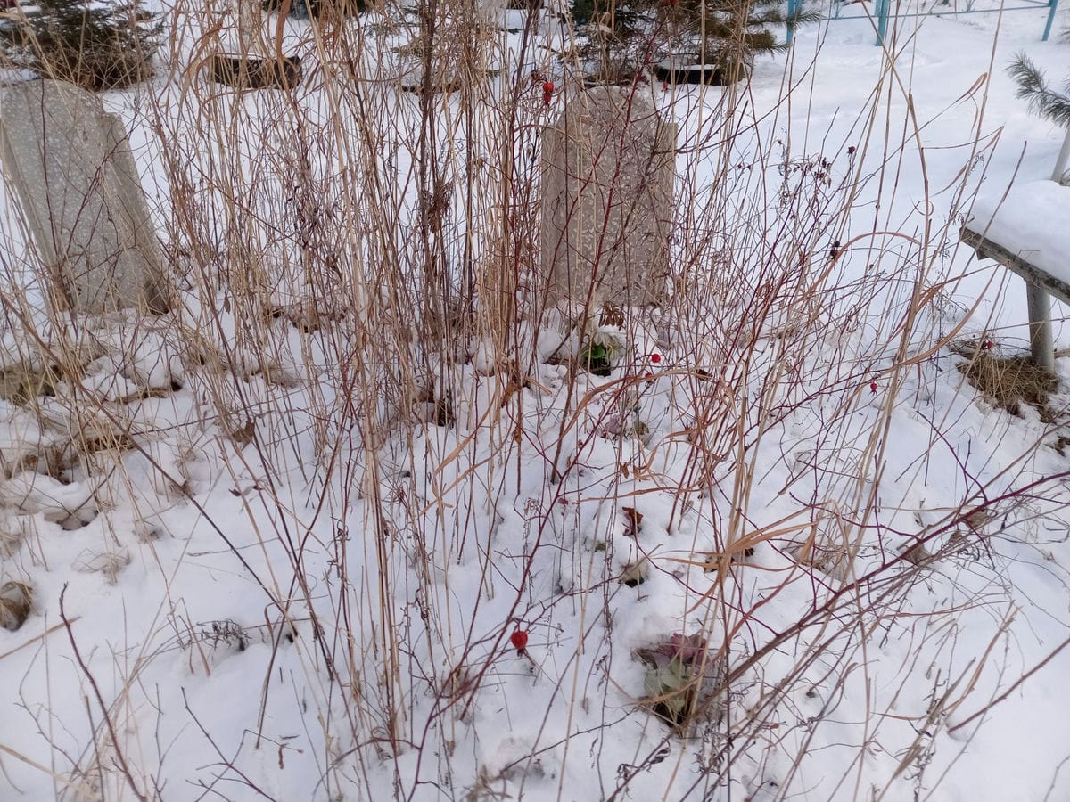 906d5439-2ef0-4e46-9907-7bb9f14795e2 Неизвестно Неизвестно Неизвестно