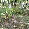 Гиневская Аксинья Степановна