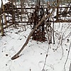 Неизвестно Неизвестно Неизвестно