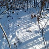 Неизвестно Неизвестно Неизвестно