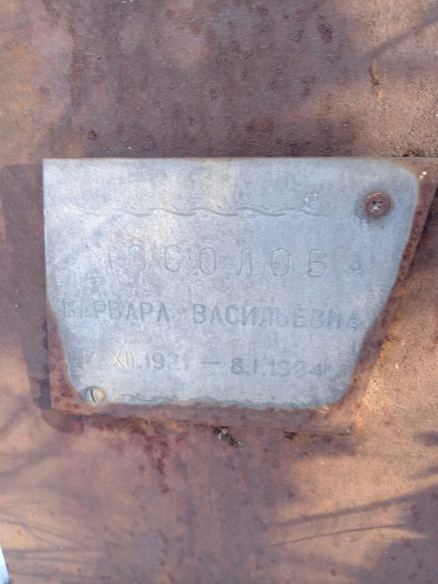 979ca5de-f69b-4689-91c9-9369ff457d5b Мосолова Варвара Васильевна