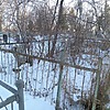 Кривошеева Екатерина Севастьяновна