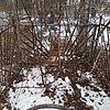 Неизвестно Неизвестно Неизвестно