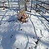 Гапанович Анна Романовна