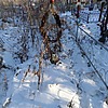 Неизвестно Неизвестно Неизвестно