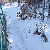 Радченко Семён Максимович