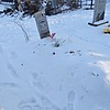 Сураева Федосия Сергеевна
