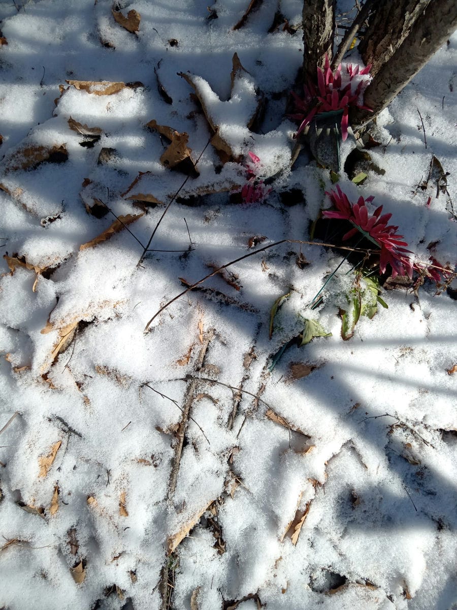 Неизвестно Неизвестно Неизвестно