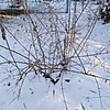 Неизвестно Неизвестно Неизвестно