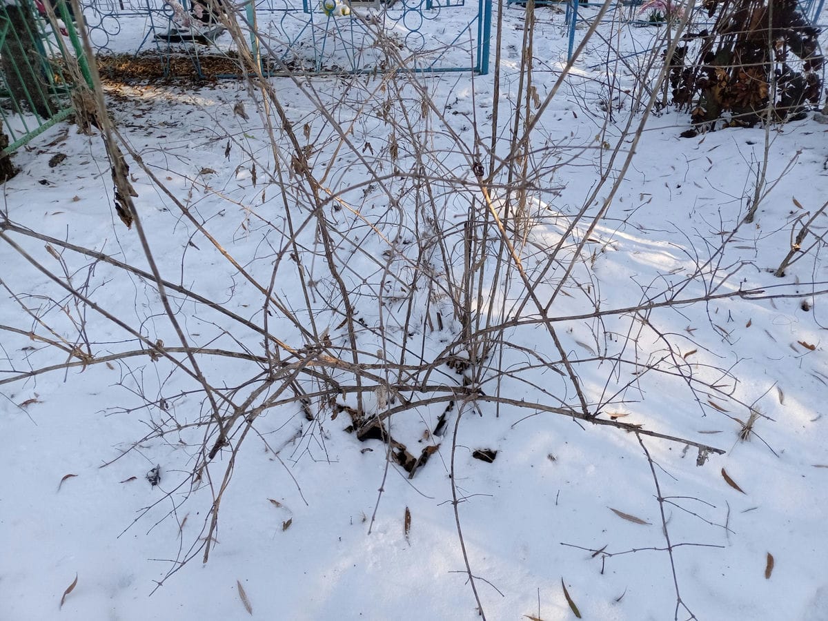 ab50ec03-322b-4f64-9649-17ac05679aeb Неизвестно Неизвестно Неизвестно