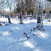 Соломина Анастасия Дмитриевна