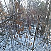 Топольян Александр Васильевич