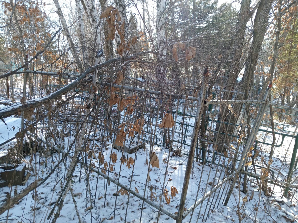 ac0059fe-8513-4668-8e38-668f55c3462e Топольян Александр Васильевич