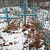 Неизвестно Неизвестно Неизвестно