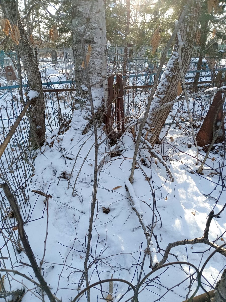 Неизвестно Неизвестно Неизвестно