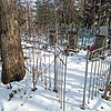 Ценева Ксения Ивановна