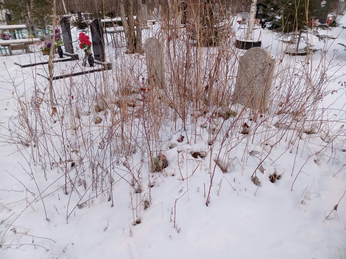 b5fec2a0-b195-4b05-baa7-841cf81113c1 Неизвестно Неизвестно Неизвестно