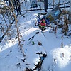 Никулин Сергей Александрович