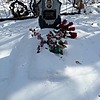 Довбенко Анатолий Васильевич