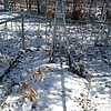 Савранская Анна Исаковна