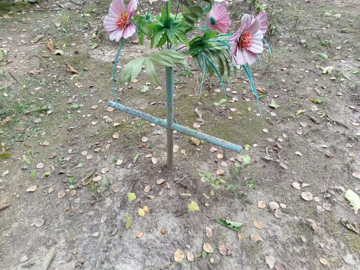 Неизвестно Неизвестно Неизвестно
