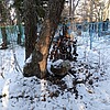 Неизвестно Неизвестно Неизвестно