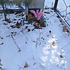 Сергеева Зоя Павловна