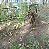 Неизвестно Неизвестно Неизвестно