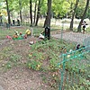 Витяк Юлия Ивановна