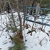 Неизвестно Неизвестно Неизвестно