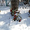 Ценева Ксения Ивановна
