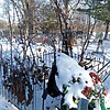 Неизвестно Неизвестно Неизвестно