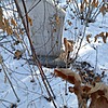 Неизвестно Неизвестно Неизвестно