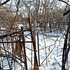 Николаев Фома Васильевич
