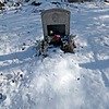Тигишвили Важа Шураевич