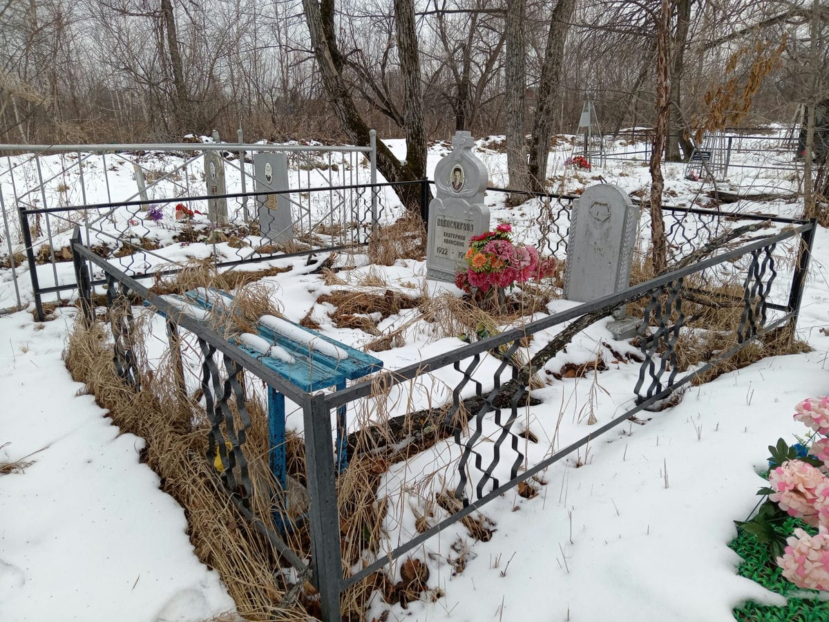 d22a67e4-1b36-41e1-9c15-8b5cb0980c89 Волосникова Екатерина Ивановна