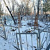 Добровольская Анна Матвеевна