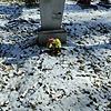 Зикунова Зинаида Петровна