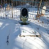 Власков Андрей Николаевич