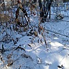 Неизвестно Неизвестно Неизвестно