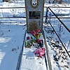 Иванова Прасковья Гавриловна