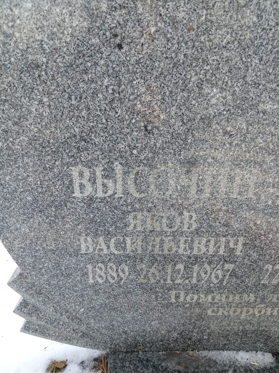 d94ba337-ffa2-49f0-bfc2-de48cbdf96fd Высочина Евдокия Ефимовна