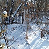 Обрежа Антонина Федоровна