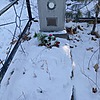 Сергеев Евгения Анатольевич