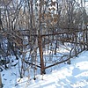 Мосолов Николай Трофимович