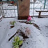 Ляхов Алексей Трофимович