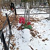 Павлова Надежда Петровна